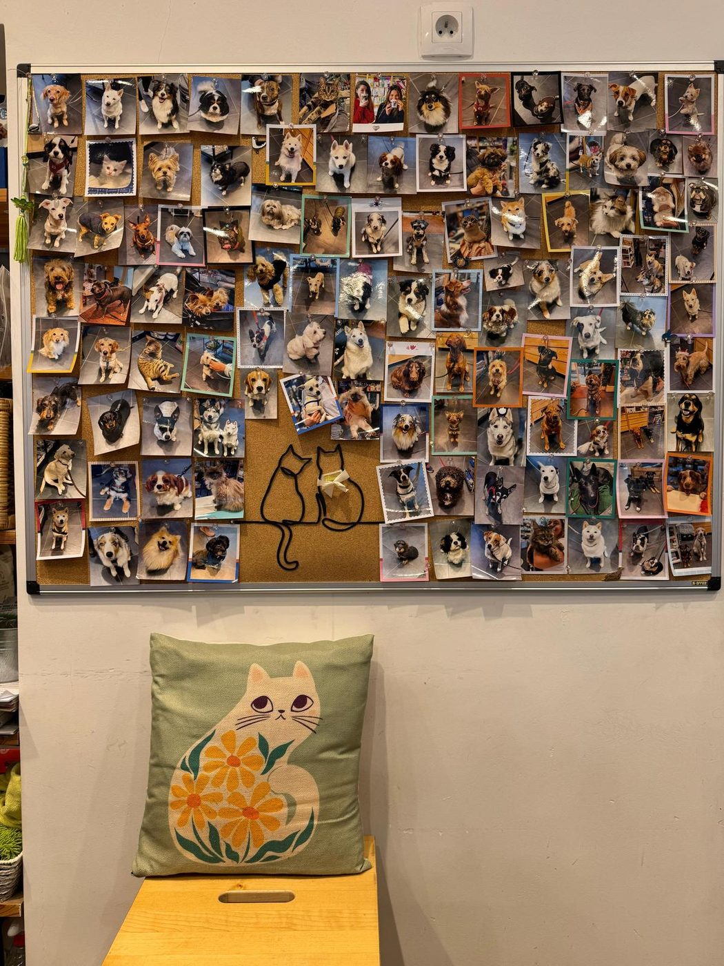 Mur photos animaux clients Saint Mandé